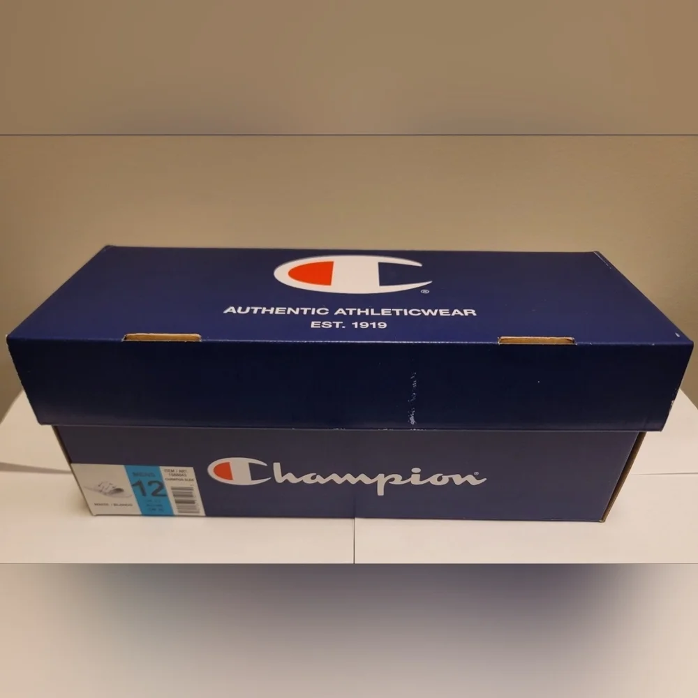 Champions Slides - Picture 6 of 6